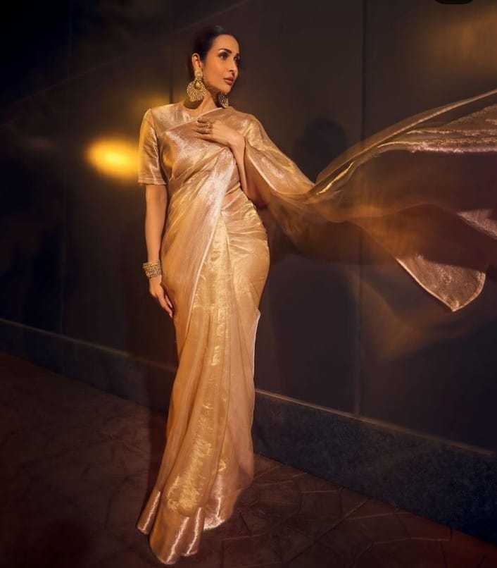 YNF TISSUE KESH131 Malaika Arora SAREES WHOLESALE TISSUE SILK MALAIKA ARORA ZARI SAREES MANUFACTURER