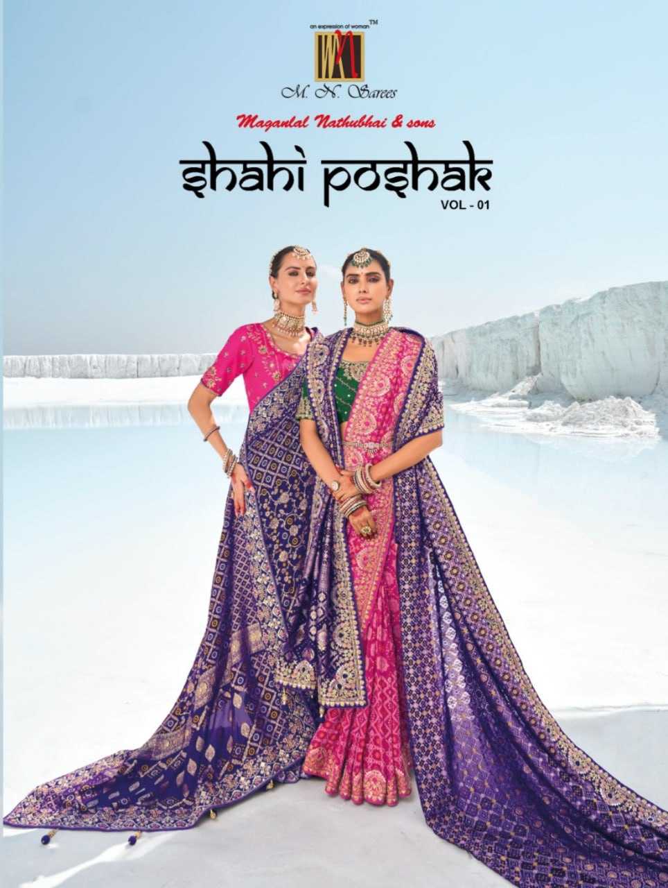 YNF GEORGETTE M.N KESH113 POSHAK VOL -1 CLOTHING BRANDS WHOLESALE SAREES MANUFACTURER