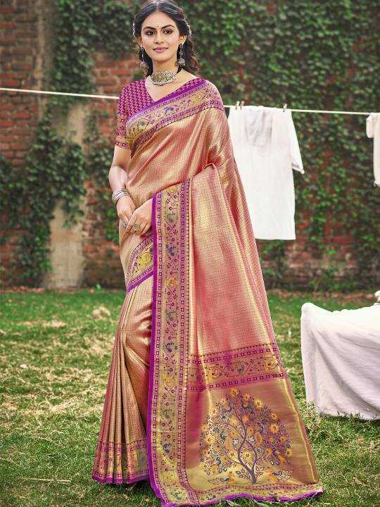 Ynf Paithani Silk RIN197 1203 JEVER SILK Sarees Wedding Collections Wholesale Fancy Sarees Sangeet Outfits Manufacturer