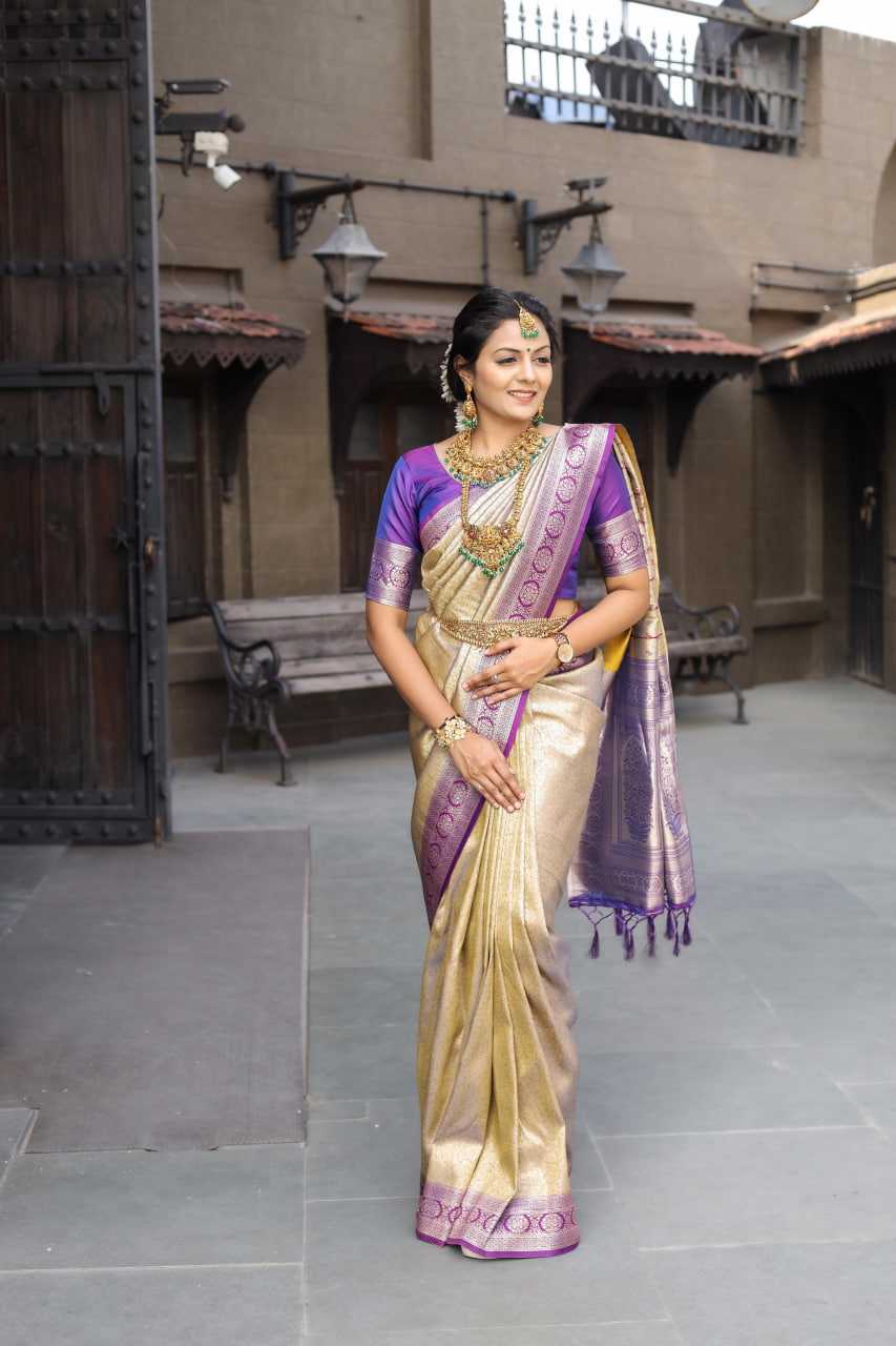 TRADITIONAL SILK SAREES