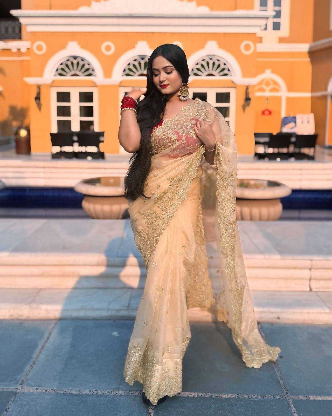 NYLON SAREES