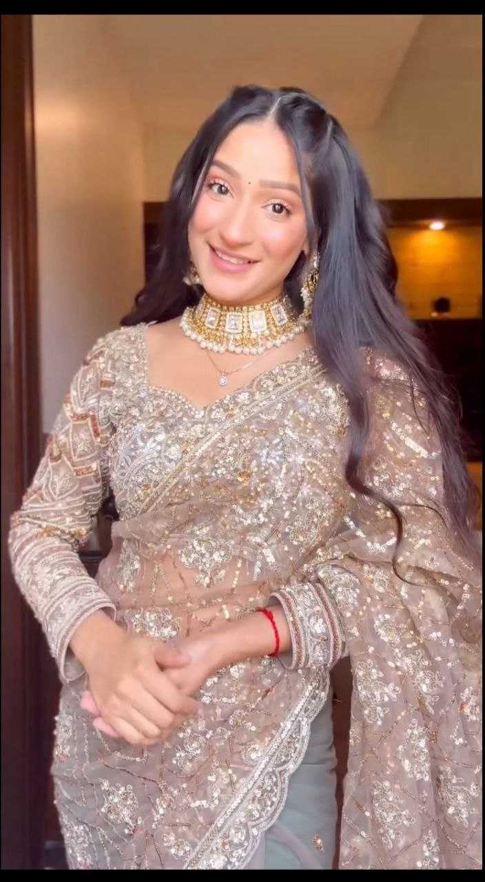 NET SAREES