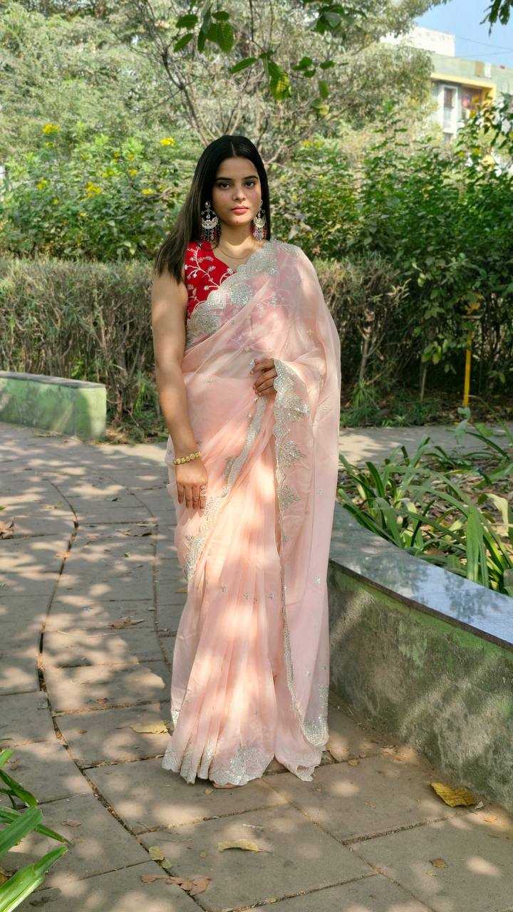 Ynf Organza Silk KESH533 5035 Sarees Wholesale Party Wear Sarees Fancy Sarees Sequence Sarees Embroidered Sarees Cutwork Saree Manufacturer