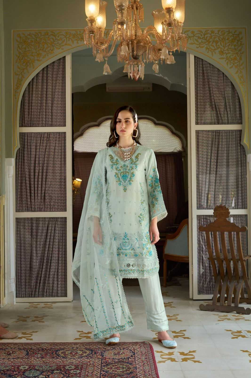 YNF ORGANZA SHREE FABS RIN145 MRD09 CLOTHING BRANDS WHOLESALE SUIT MANUFACTURER