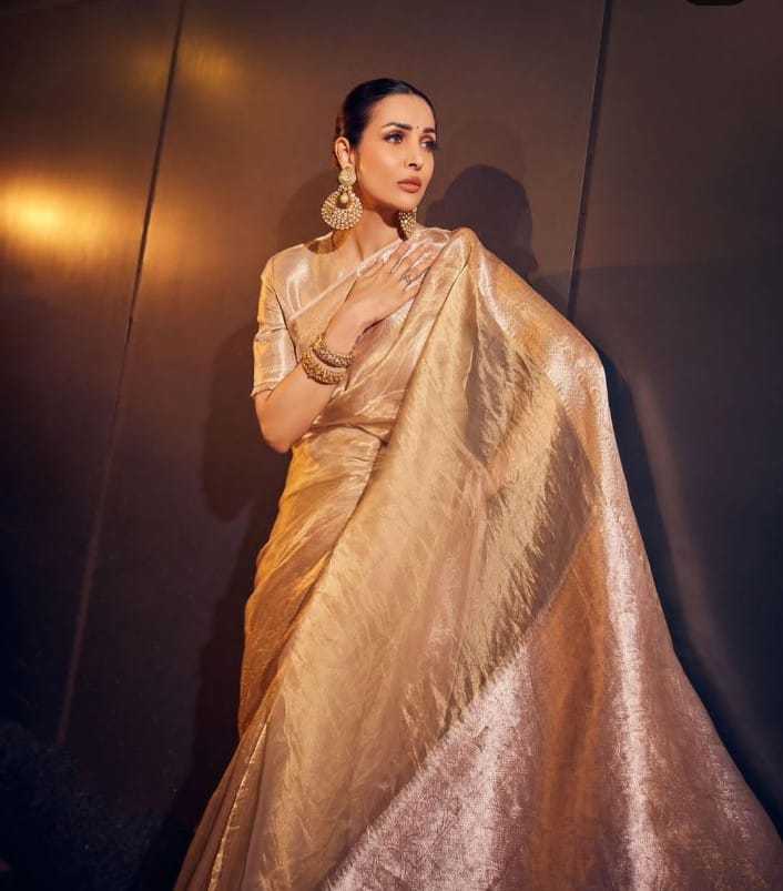 YNF TISSUE KESH131 Malaika Arora SAREES WHOLESALE TISSUE SILK MALAIKA ARORA ZARI SAREES MANUFACTURER