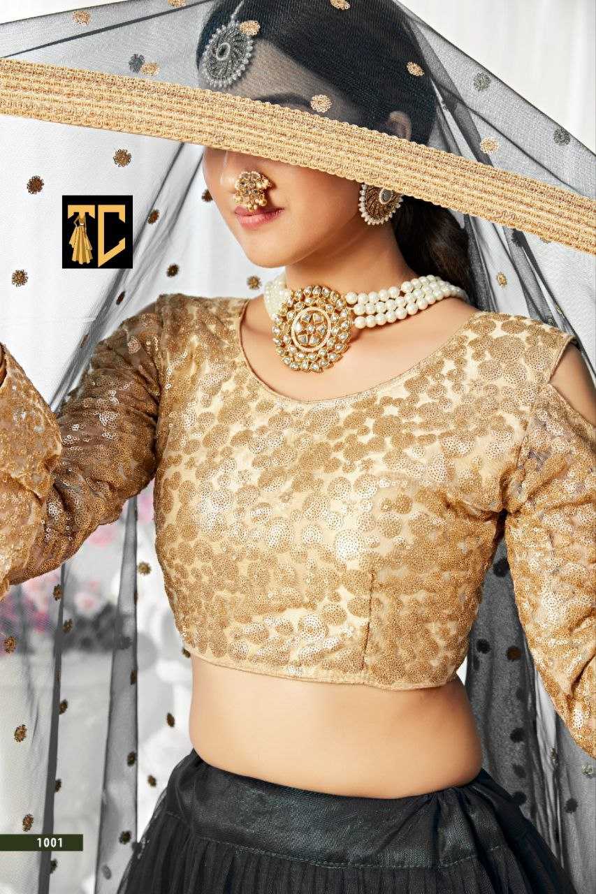 Ynf Soft Net KESH257 AGNILEKHA - 1001 Lehengas Wedding Collections Festive Collections Wholesale Designer Lehenga Fancy Lehenga Wedding Lehenga Manufacturer