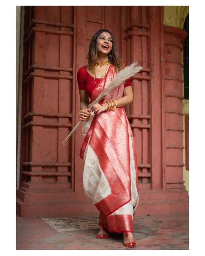 Ynf Banarasi Jacquard RIN113 DW-4266 Sarees Wholesale Designer Sarees Silk Sarees Festive Sarees Manufacturer