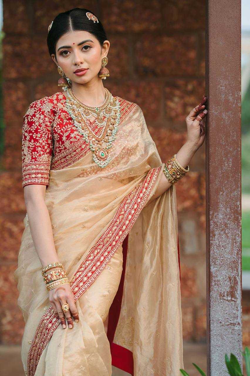 Ynf Jimmy Choo RIN187 751 Sarees Wholesale Party Wear Sarees Fancy Sarees Sequence Sarees Embroidered Sarees Zari Border Sarees Manufacturer