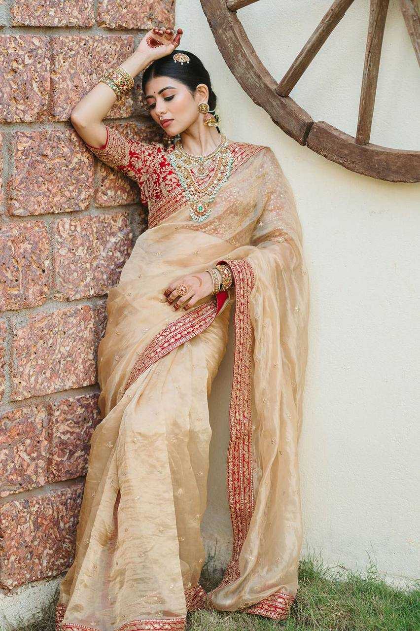 Ynf Jimmy Choo RIN187 751 Sarees Wholesale Party Wear Sarees Fancy Sarees Sequence Sarees Embroidered Sarees Zari Border Sarees Manufacturer