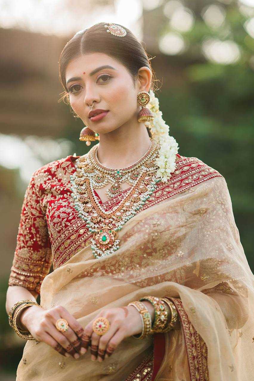 Ynf Jimmy Choo RIN187 751 Sarees Wholesale Party Wear Sarees Fancy Sarees Sequence Sarees Embroidered Sarees Zari Border Sarees Manufacturer