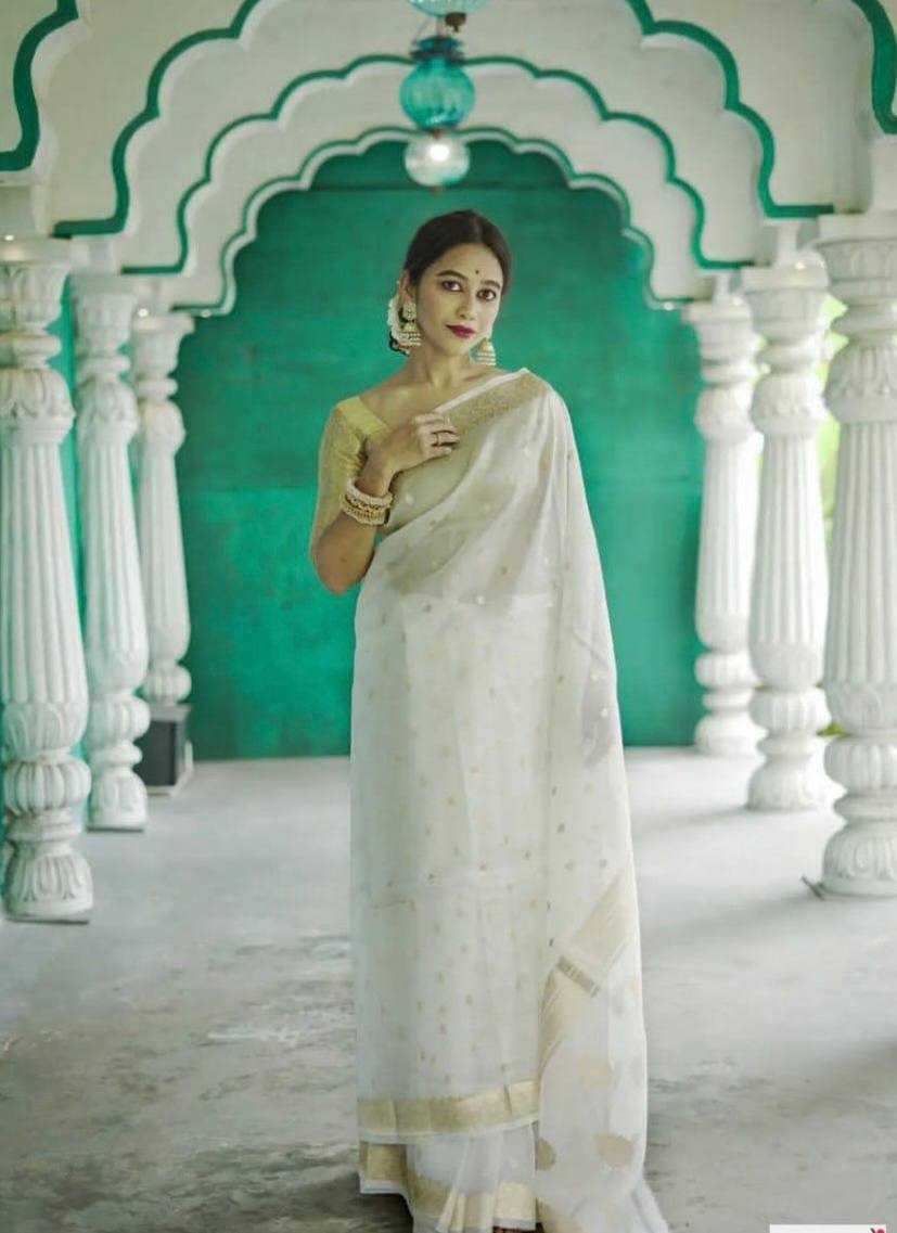 Ynf Linen KESH534 6040 Sarees Wholesale Designer Sarees Party Wear Sarees Jacquard Saree Manufacturer