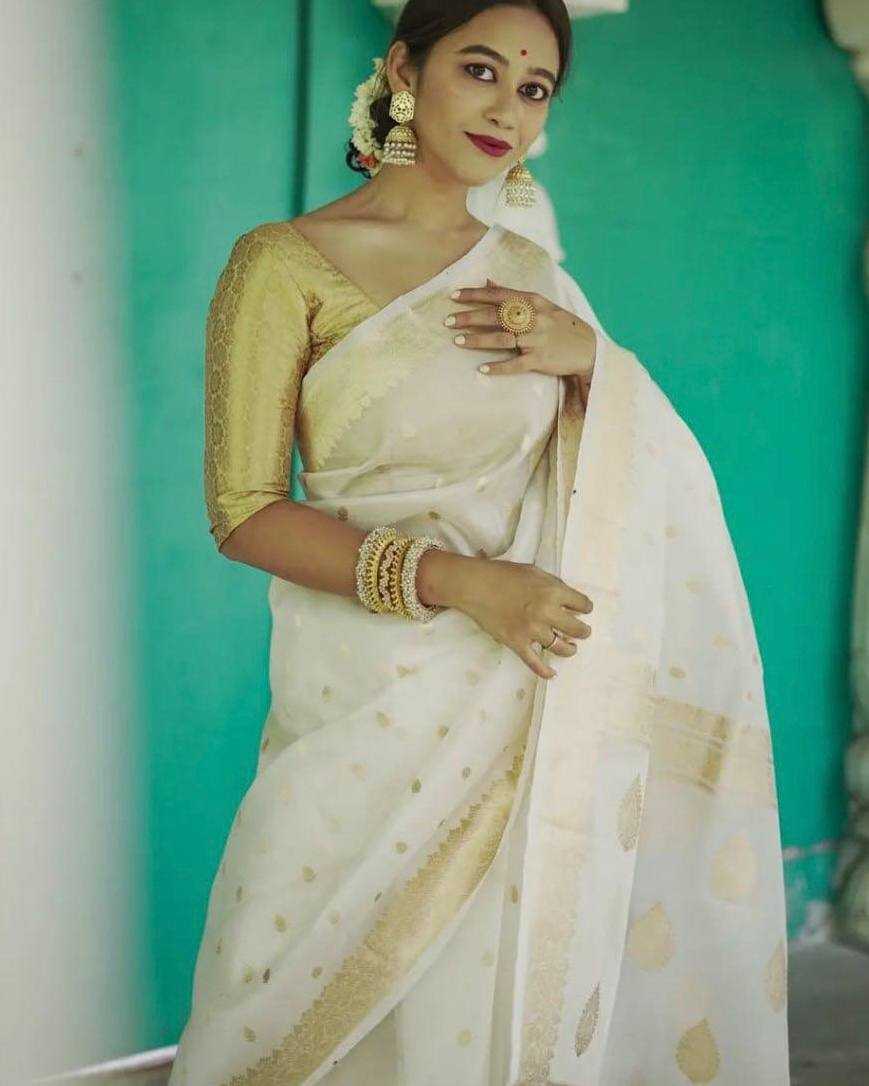 Ynf Linen KESH534 6040 Sarees Wholesale Designer Sarees Party Wear Sarees Jacquard Saree Manufacturer