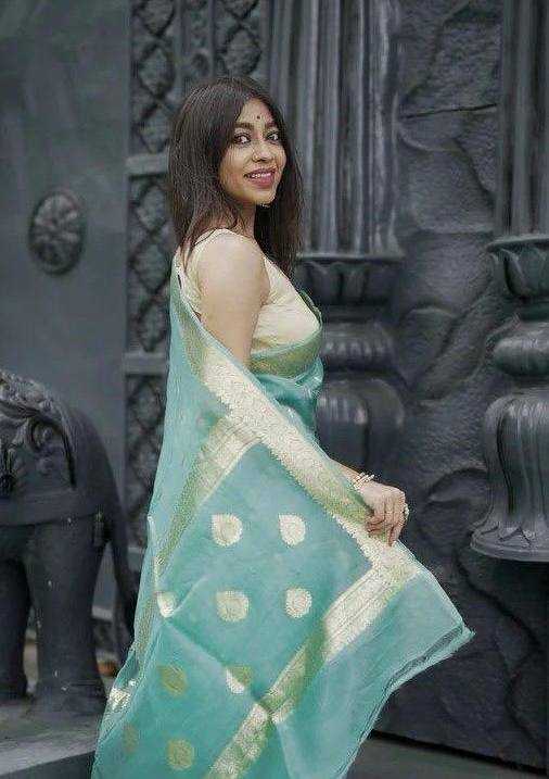 Ynf Linen KESH534 6040 Sarees Wholesale Designer Sarees Party Wear Sarees Jacquard Saree Manufacturer